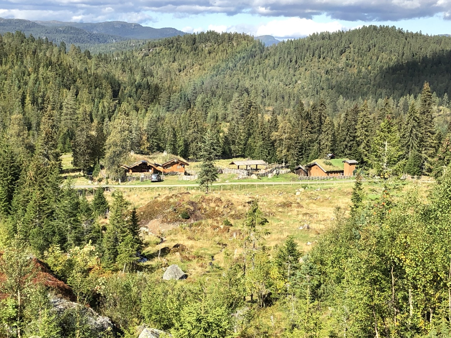 Nattsafari 26-28.august NY CAMP