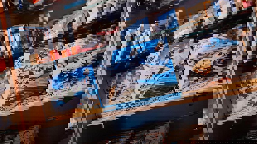 Salten og Bodø treff 23-25. juni